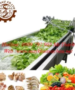 Máy rửa rau củ băng tải sục khí
