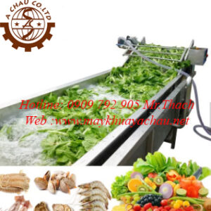 Máy rửa rau củ băng tải sục khí