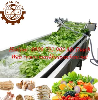 Máy rửa rau củ băng tải sục khí