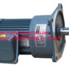 motor điện
