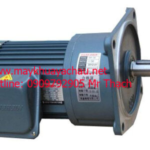 motor điện