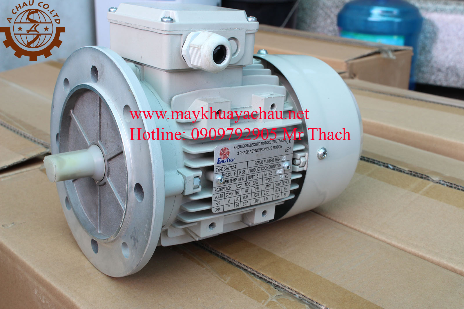 Motor điện, motor khuấy