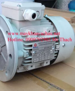 Motor khuấy