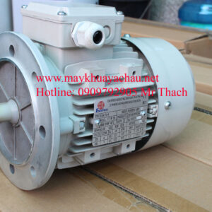 Motor khuấy
