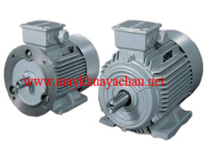motor điện