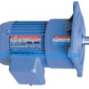 motor điện