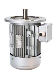 motor điện công nghiệp