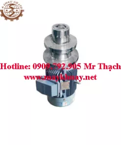 cụm đồng hoá