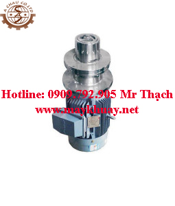 cụm đồng hoá