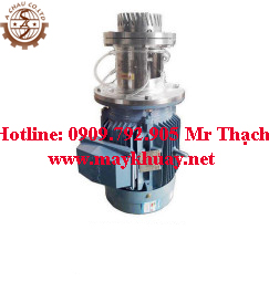 cụm đồng hoá