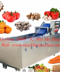 Máy rửa hoa quả công suất cao giá rẻ