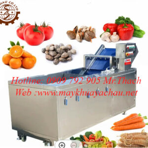 Máy rửa hoa quả công suất cao giá rẻ