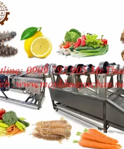 Băng chuyển rửa rau tự động