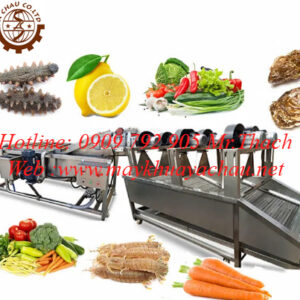 Băng chuyển rửa rau tự động